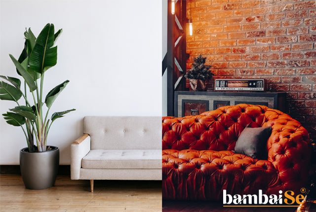 Minimalist vs. Maximalist: Discovering Your Interior Design Style
